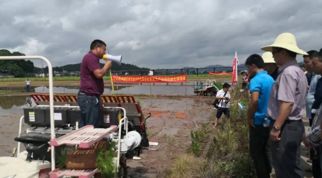 宁化县供销社牵头宁化县卓越农机专业合作社联合社举办水稻生产全程机械化现场会