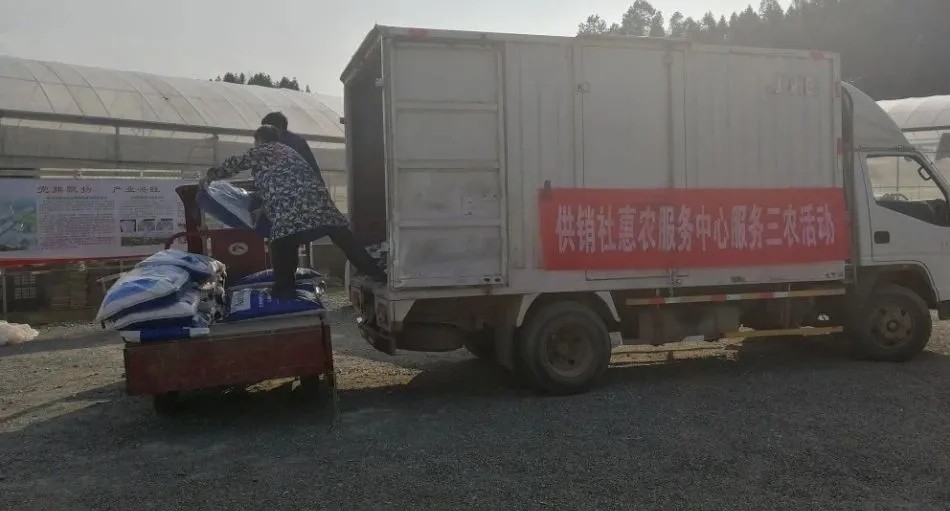 宁化县农资配送中心送肥到蔬菜基地